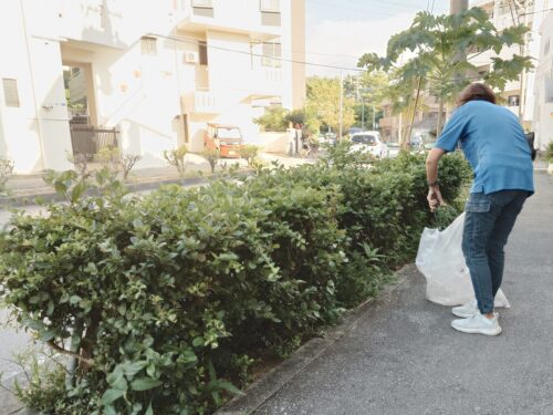 草刈り・清掃スタッフ